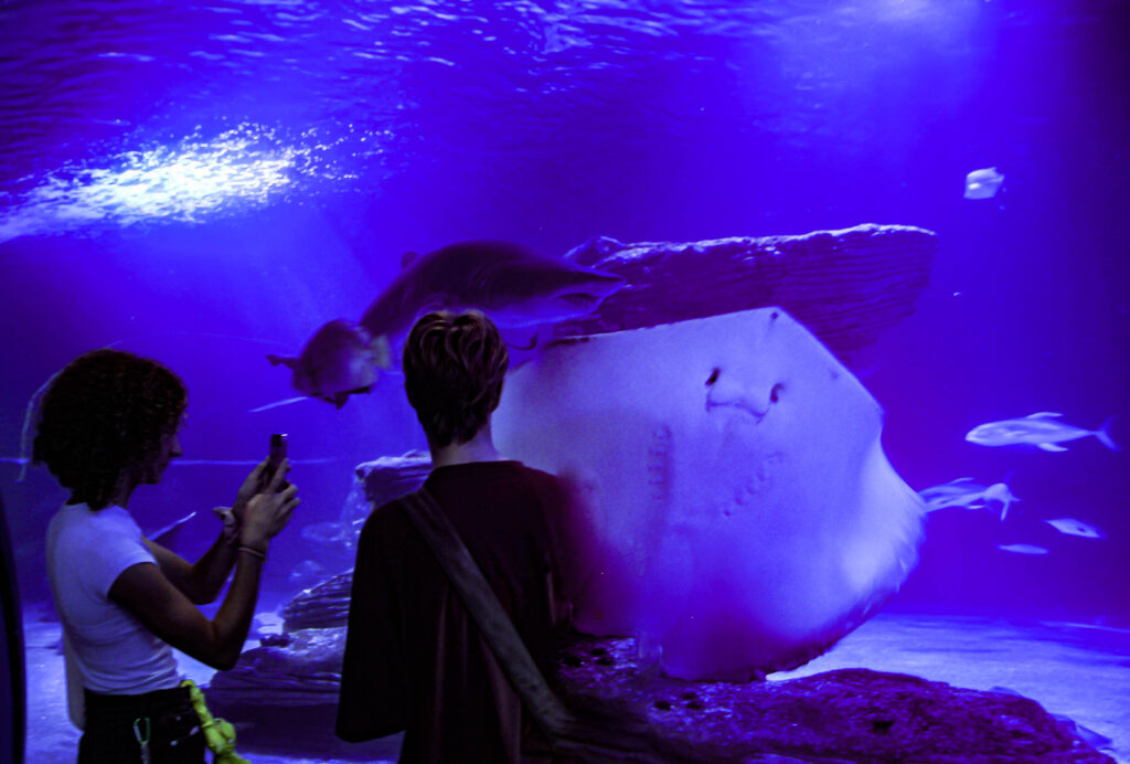 Nuestro programa img 4920