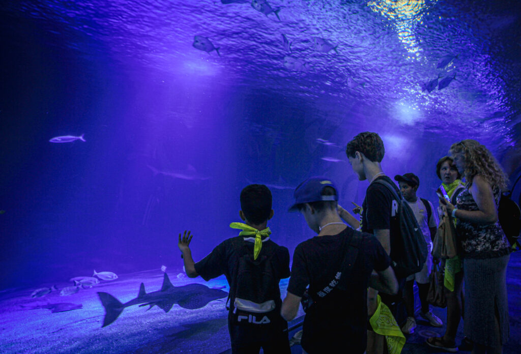 Nuestro programa img 4922