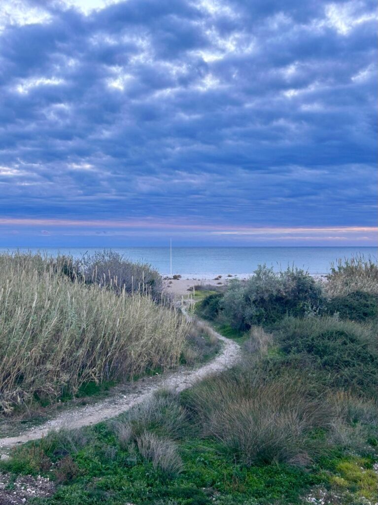 whatsapp image 2026 02 04 at 15.35.04 whatsapp image 2026 02 04 at 15.35.04